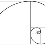 kinetics_fibonacci