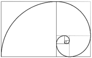 kinetics_fibonacci